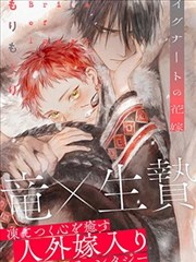 热门小说